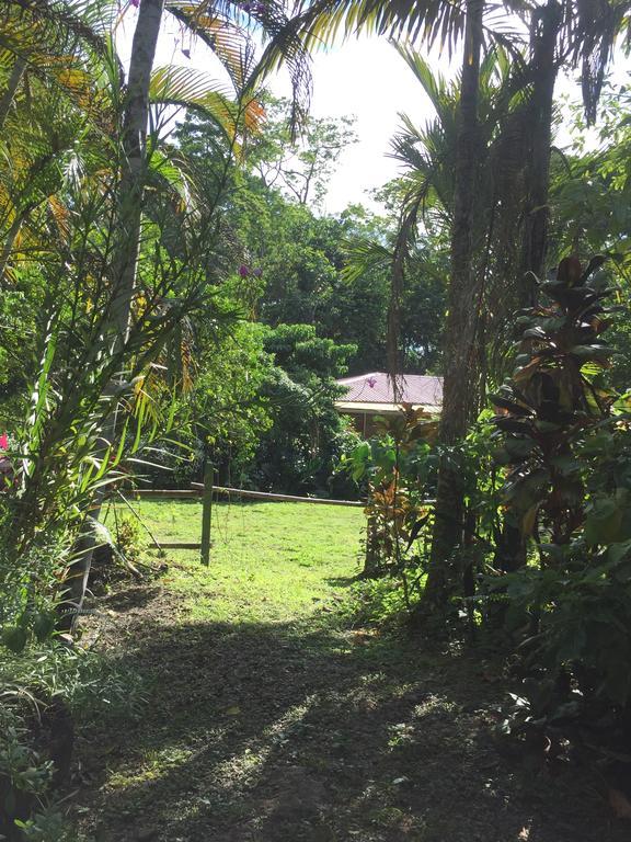 Magellan Boutique Hotel Cahuita Exterior foto